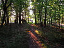 photo thumbnail #10