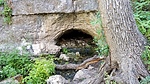 photo thumbnail #5