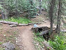 photo thumbnail #15