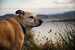 photo thumbnail #14