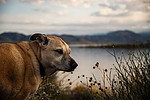 photo thumbnail #15