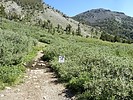 photo thumbnail #15