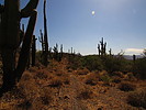 photo thumbnail #4