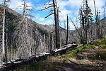 photo thumbnail #11