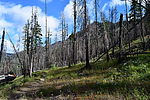 photo thumbnail #12