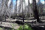 photo thumbnail #13