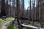 photo thumbnail #14