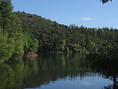photo thumbnail #14