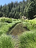 photo thumbnail #9