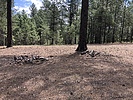photo thumbnail #3