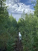 photo thumbnail #2