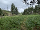 photo thumbnail #7