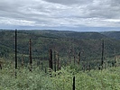 photo thumbnail #5