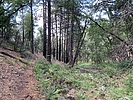 photo thumbnail #2