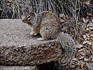 photo thumbnail #6