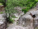 photo thumbnail #12