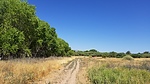 photo thumbnail #2