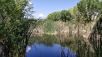 photo thumbnail #8