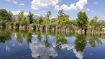 photo thumbnail #10