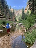 photo thumbnail #2