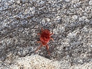 photo thumbnail #2