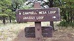photo thumbnail #14