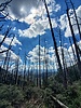 photo thumbnail #9