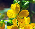 photo thumbnail #11