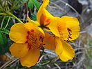photo thumbnail #12