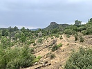 photo thumbnail #2