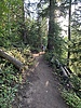 photo thumbnail #9