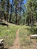 photo thumbnail #7