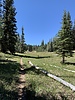 photo thumbnail #5