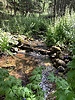 photo thumbnail #8
