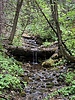 photo thumbnail #9
