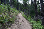 photo thumbnail #4