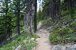 photo thumbnail #5