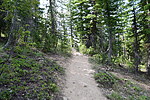 photo thumbnail #7