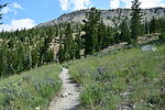 photo thumbnail #9