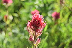 photo thumbnail #7