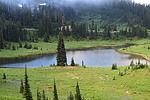 photo thumbnail #14