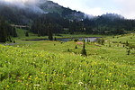 photo thumbnail #15