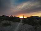 photo thumbnail #1