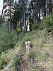 photo thumbnail #2