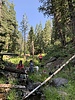 photo thumbnail #8