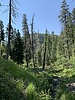 photo thumbnail #11