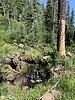 photo thumbnail #12