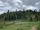photo thumbnail #12