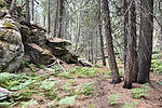photo thumbnail #6