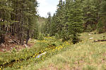 photo thumbnail #11